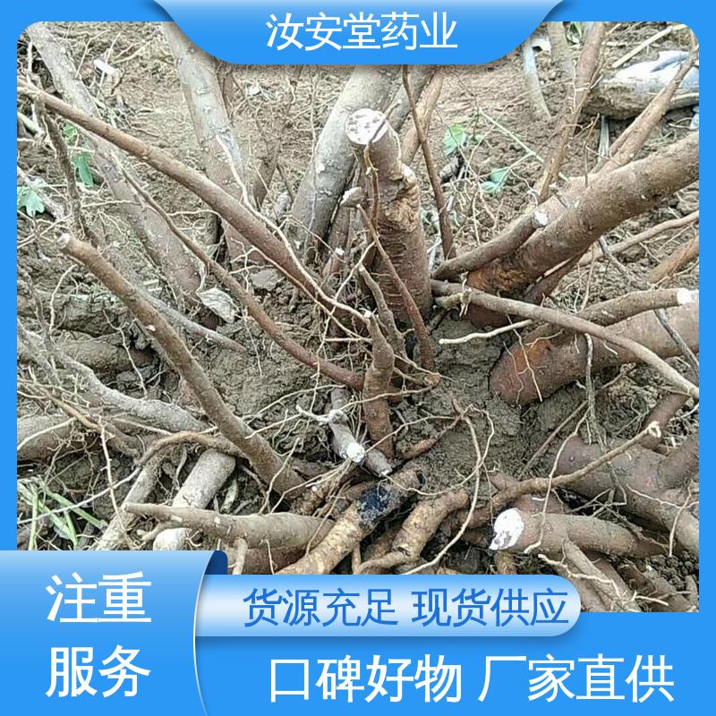 汝安堂 量小可发快递 中药材白芍芽 规模化种植 成活率高