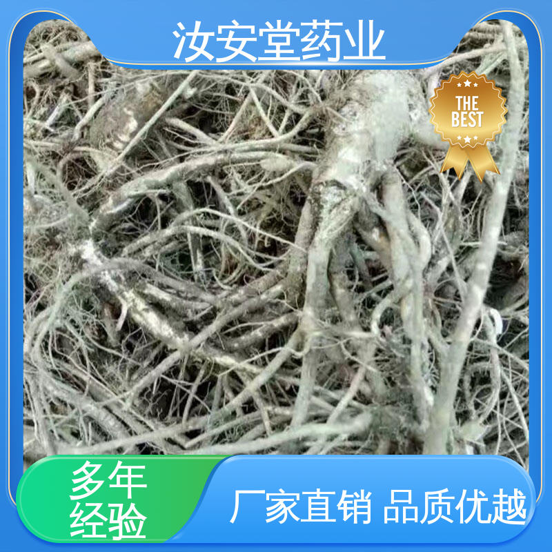 白花前胡种子质优 颗粒饱满 应用场景丰富 可大面积栽种 汝安堂