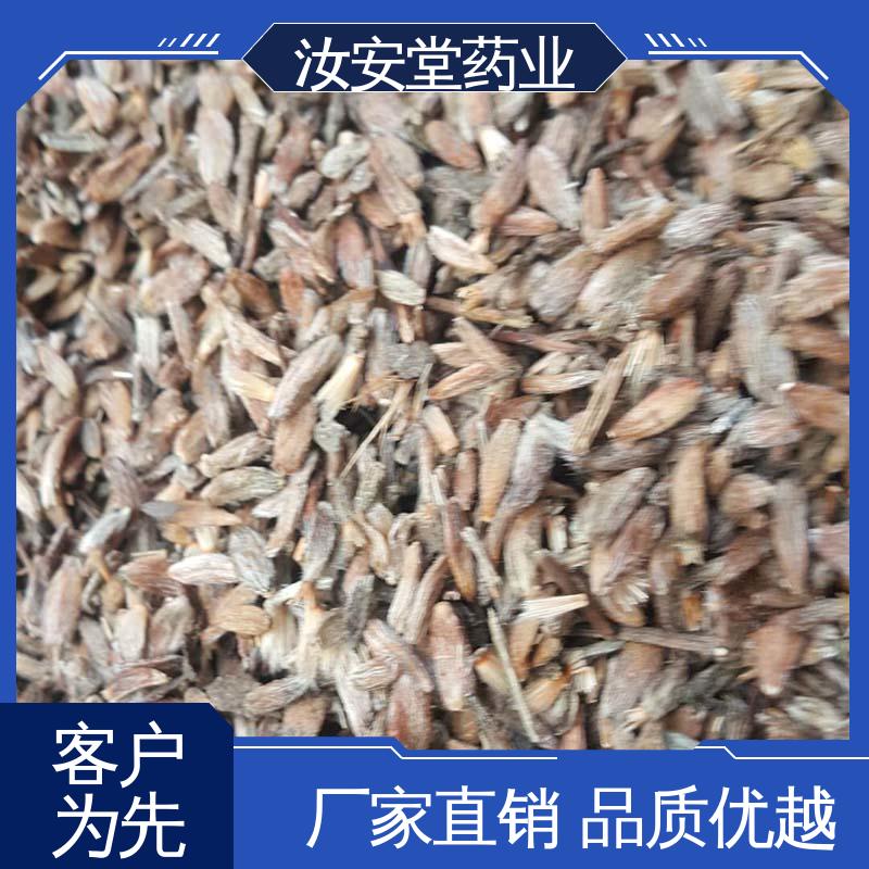  白术种子供应 可大面积栽种 品种多样 进行科学种植 汝安堂