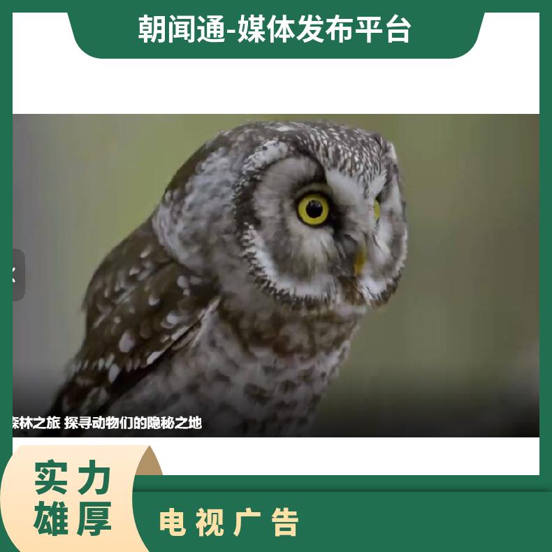 电视广告 央视科教生活频道CCTV10品牌植入 企业推广选朝闻通投放