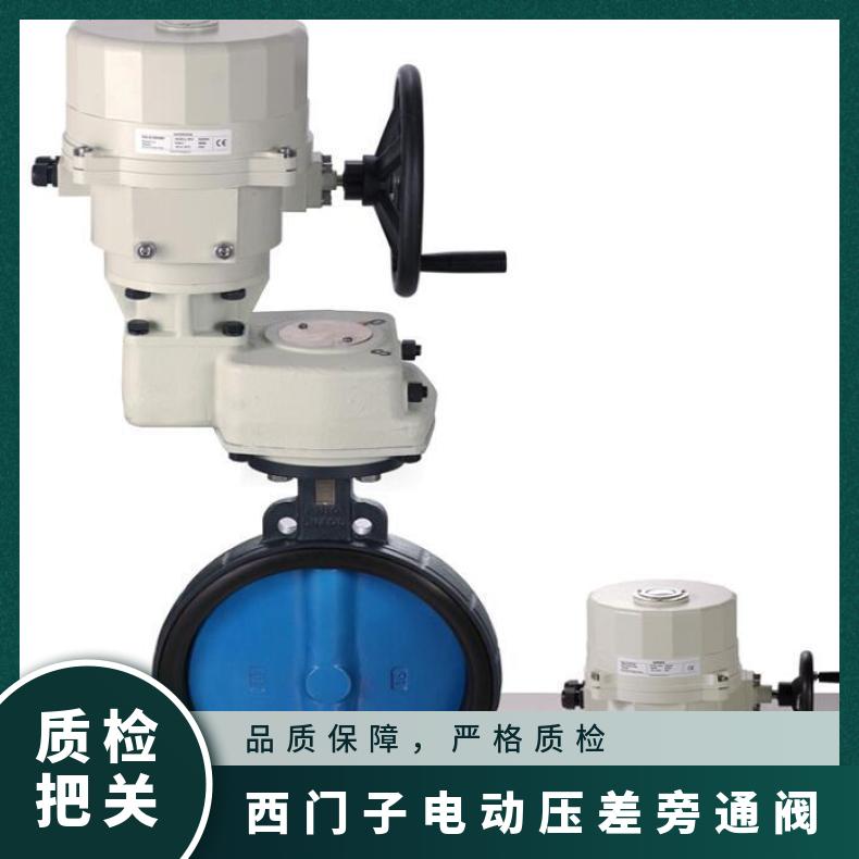 西门子电动压差旁通阀VKF42.80 SIEMENS 连接件 对夹 铸铁 电子