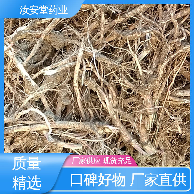 白花前胡种子量大 支持配送上门 用于道路 小区多种场景 汝安堂