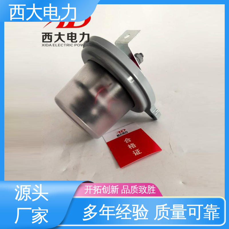 避雷器放电计数器测试仪 外形美观 做工细致 JS-8 西大电力