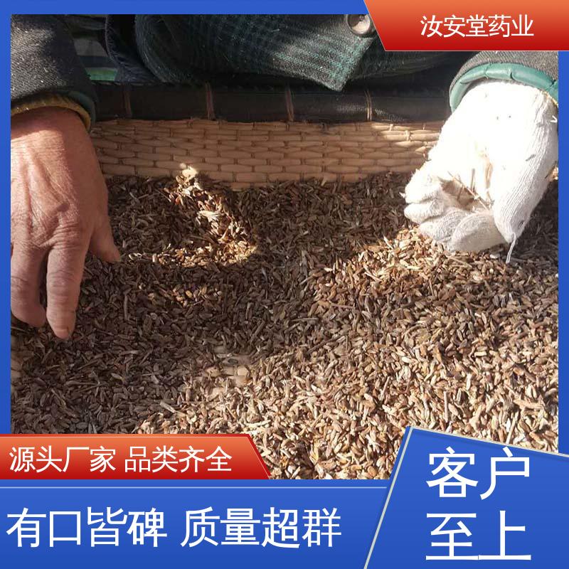 供应白术种子 应用场景丰富 栽培技术优良 包成活率 汝安堂