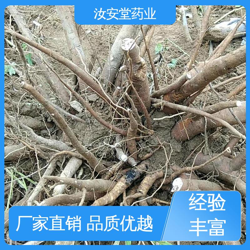 汝安堂 宜晾干贮存 抗旱能力好 应用场景丰富 正宗白芍芽供应 