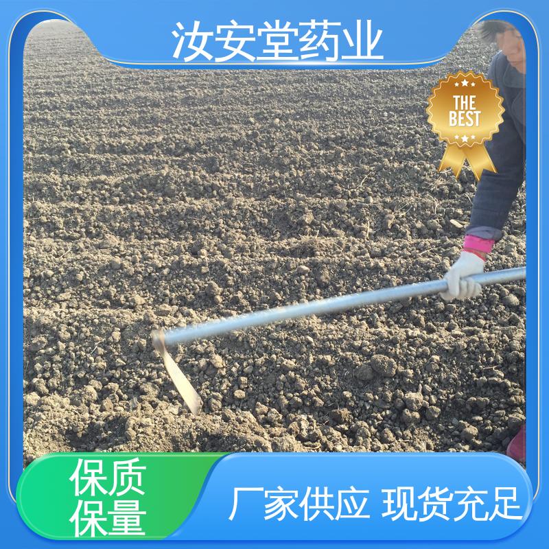 汝安堂 白芍芽子供应 支持配送上门 适用于疏松肥沃沙质土壤