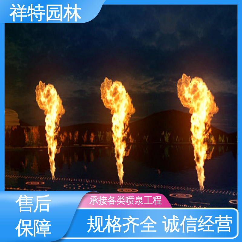 祥特园林 七彩灯光排列 喷射高度可控 景区喷泉设计 贴心售后