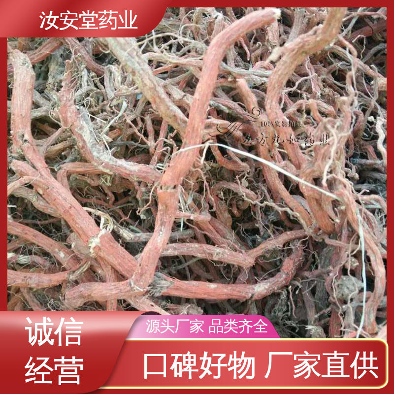 汝安堂 品种多样 进行科学种植 丹参苗产地 规模化栽种