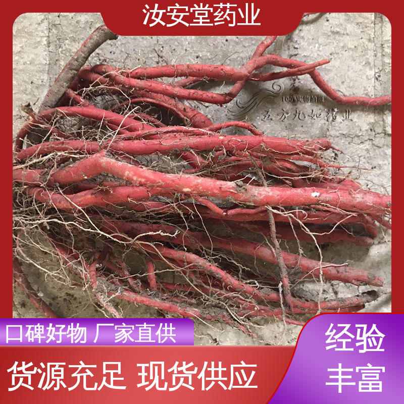 规模化栽种 宜晾干贮存 抗旱能力好 中药材丹参苗 汝安堂