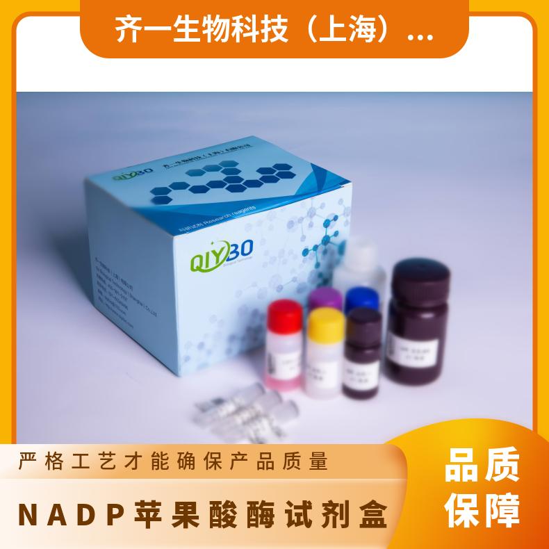 NADP苹果酸酶（NADP-ME）酶活测试盒*比色法