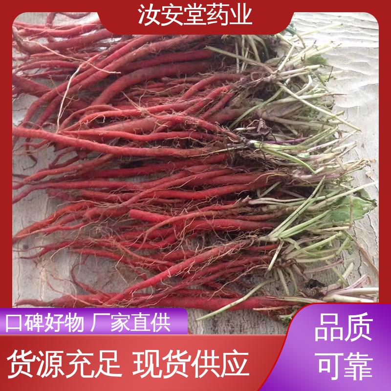 规模化栽种 栽培技术优良 包成活率 丹参苗产地 汝安堂