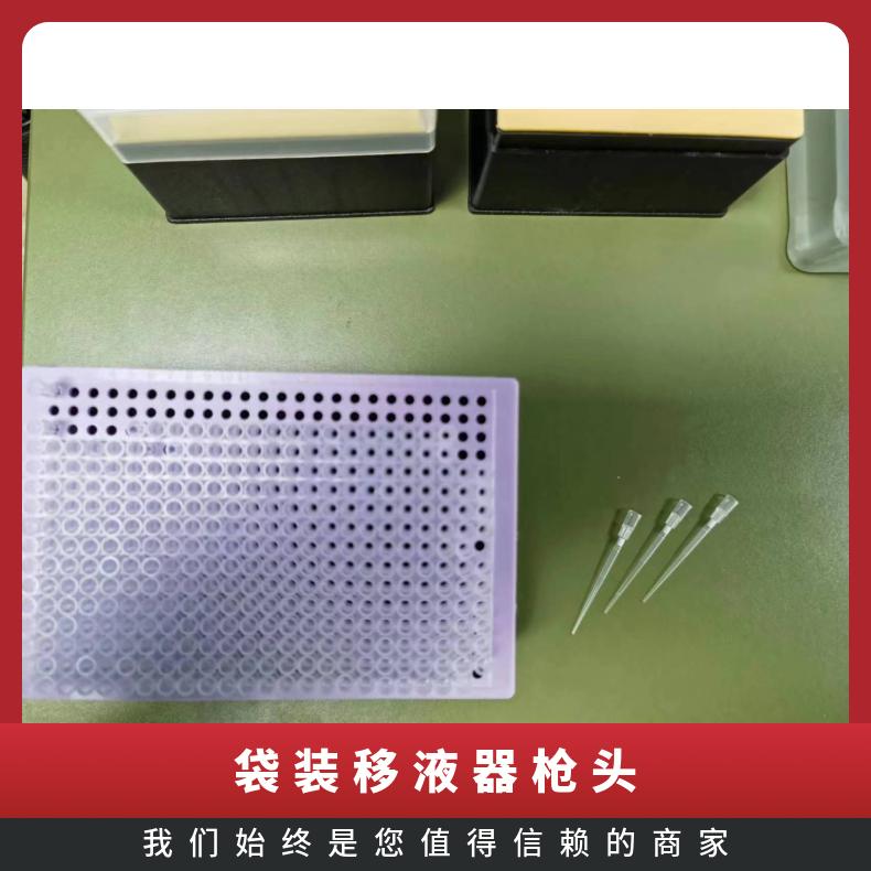 Integra袋装300ul枪头吸头 液体处理 透明