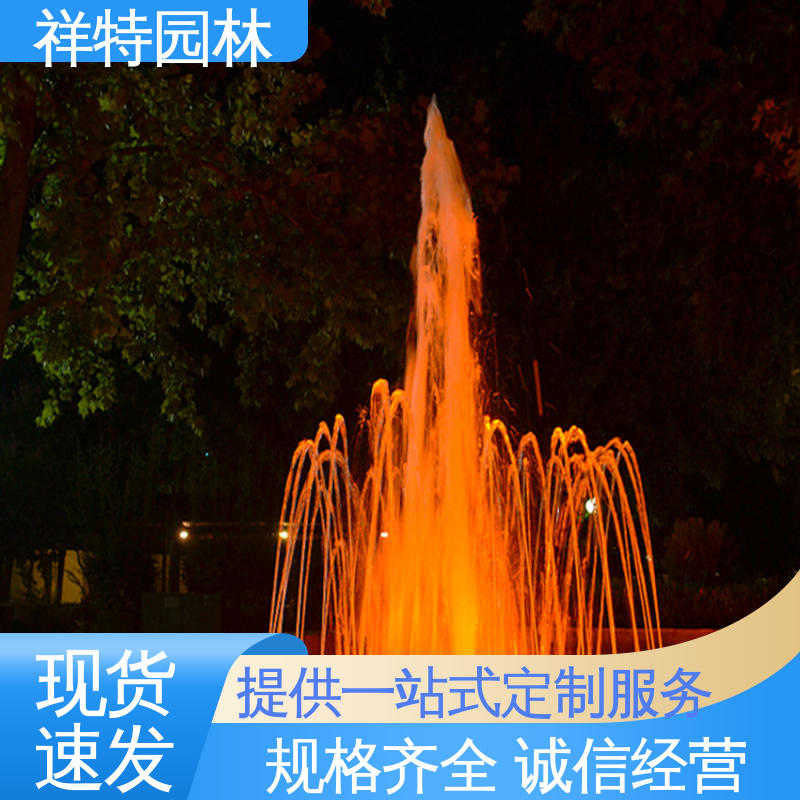 祥特园林 远程指导 七彩灯光排列 音乐喷泉公司 多年经验