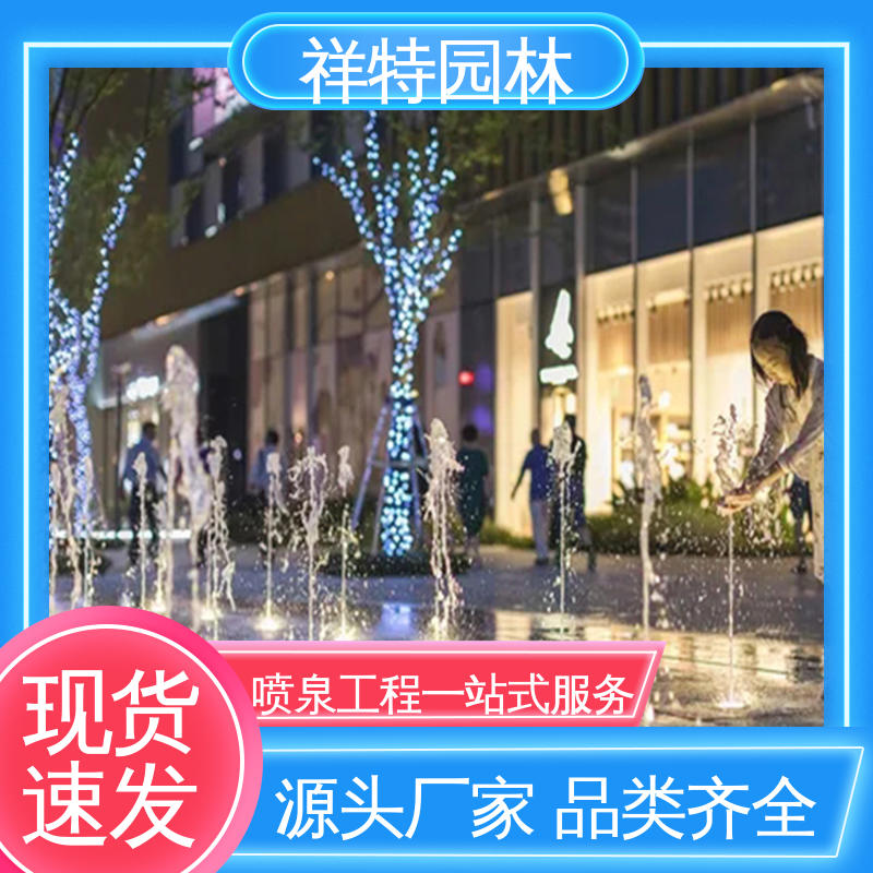 水池音乐喷泉 造型优美 广场公园水景 维护方便 祥特园林