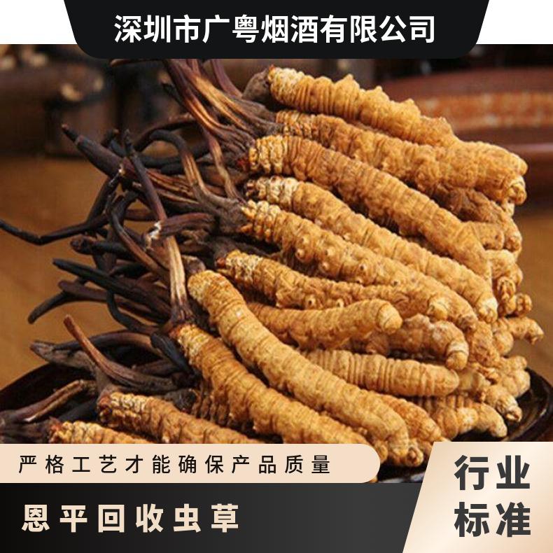恩平回收虫草价格多少钱一克 上门回收冬虫夏草 虫草回收商家电话