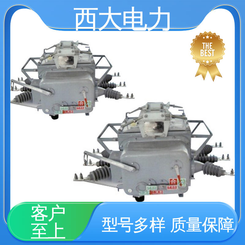 ZW20-12F/630 支持根据图纸定做 户外柱上真空断路器 西大电力