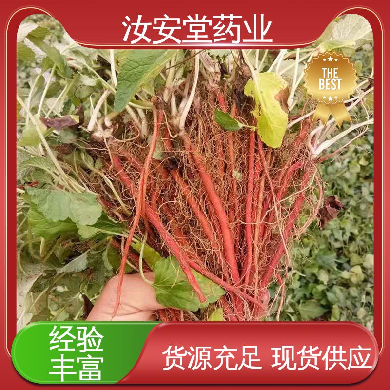 汝安堂 丹参苗种苗 成活率高 提供种植技术 支持快递发货