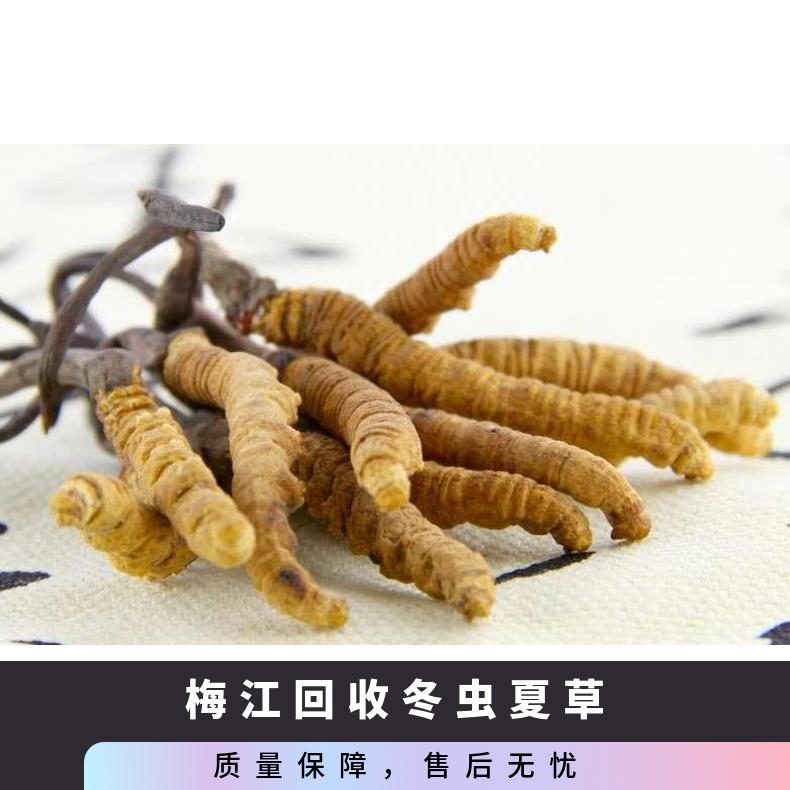 梅江回收冬虫夏草商家 长期大量回收冬虫夏草 燕窝 茅台酒 洋酒 红酒