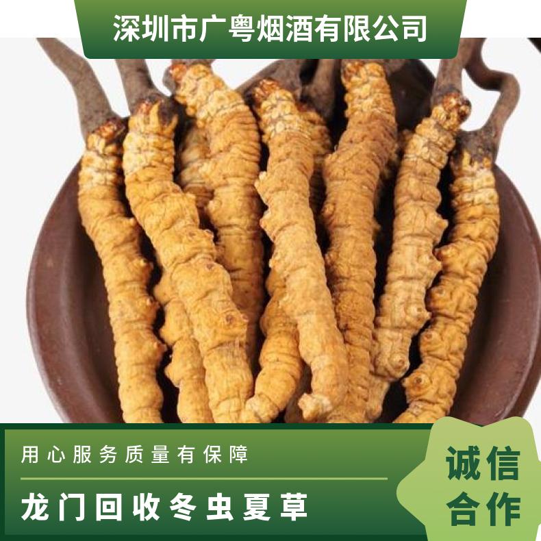 龙门回收冬虫夏草价格多少钱 回收虫草燕窝 收购茅台酒 洋酒 红酒