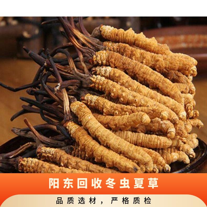 阳东回收冬虫夏草价格 高价回收冬虫夏草商家 冬虫夏草回收上门电话
