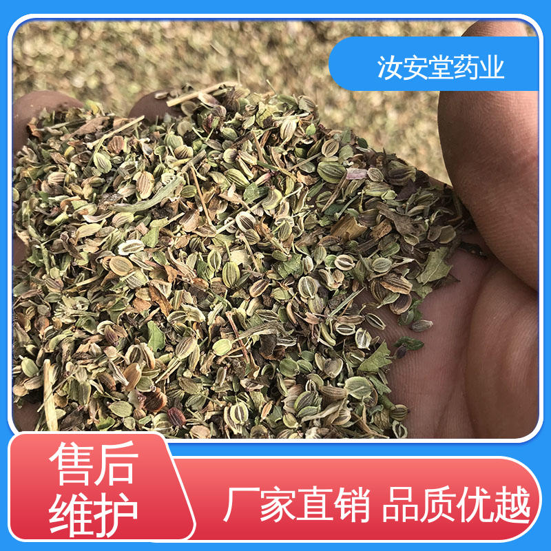 提供技术指导 药用白花前胡种子 进行科学配比 品种全 汝安堂