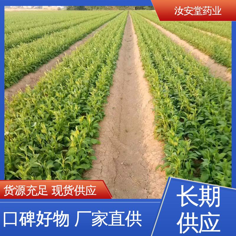 汝安堂 进行科学配比 品种齐全 中药材白术种子 支持快递发货