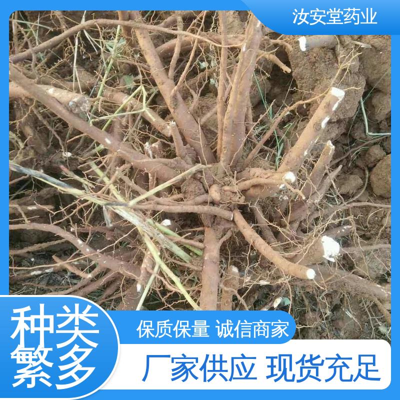 汝安堂 宜晾干贮存 抗旱能力好 白芍芽子供应 支持配送上门