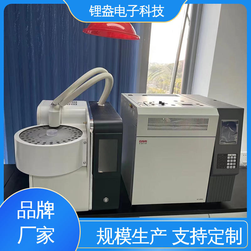 仪器精准 热解吸热脱附仪 全自动热解析仪 A95PD 锂盎电子