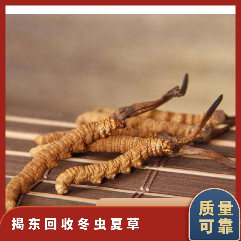 揭东回收冬虫夏草商行 高价上门回收礼盒装冬虫夏草 收购虫草燕窝
