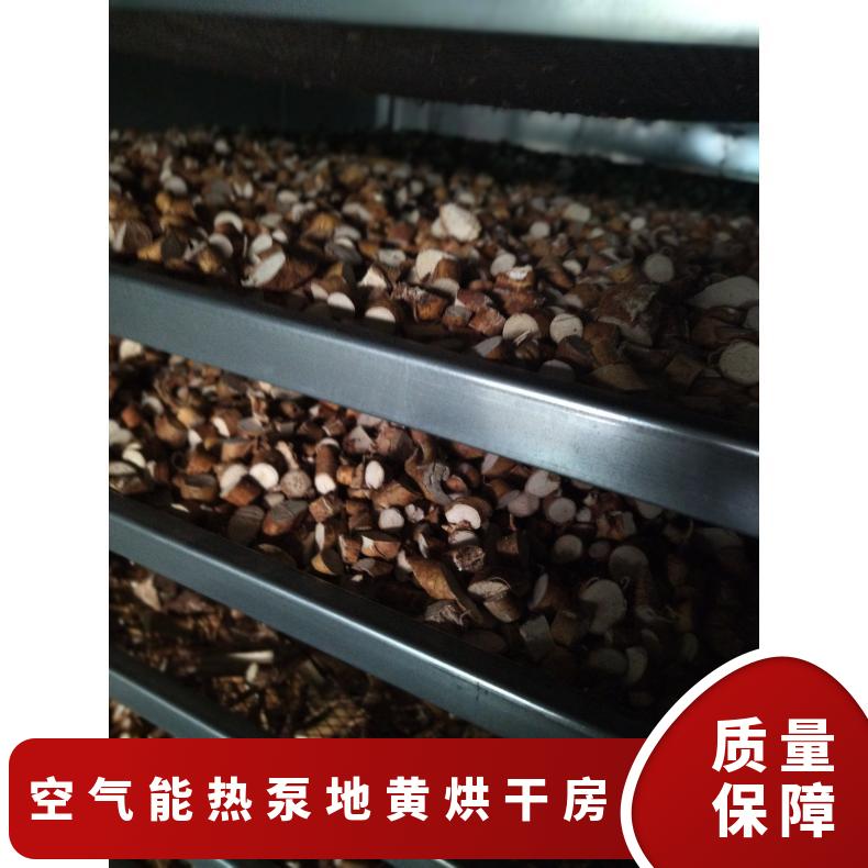 全自动大型网带式桔梗烘干机 葛根箱式干燥设备 自动化程度高 成本低