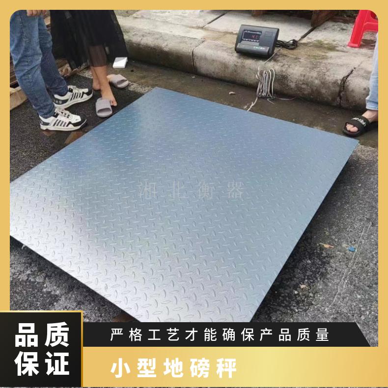小型地磅秤 多功能电子秤 工厂物流称重定制磅养殖场称猪厂家正品