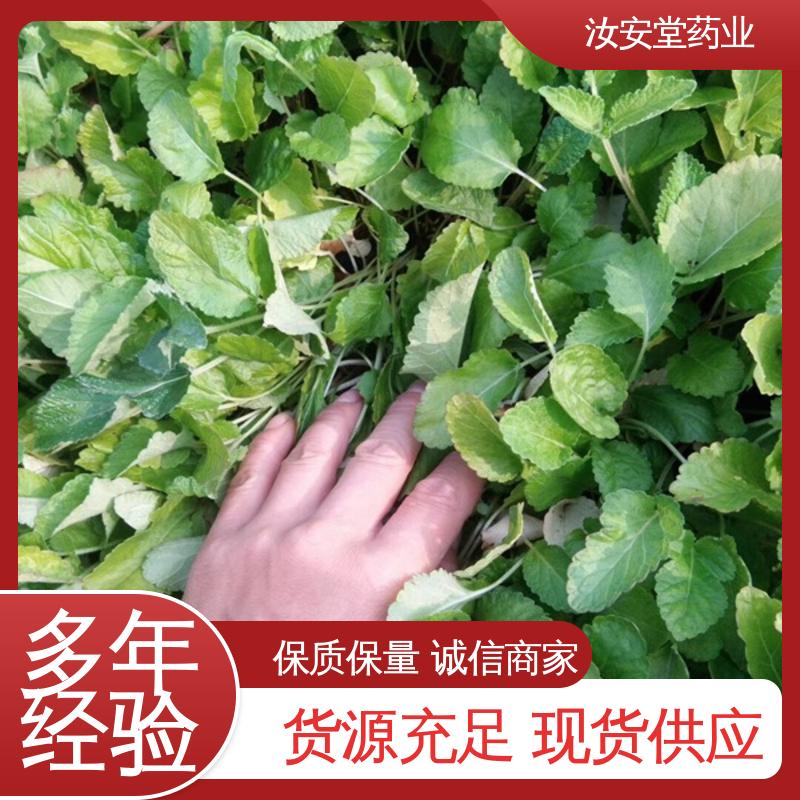 汝安堂 中药材丹参苗 一站式服务 进行科学配比 品种齐全