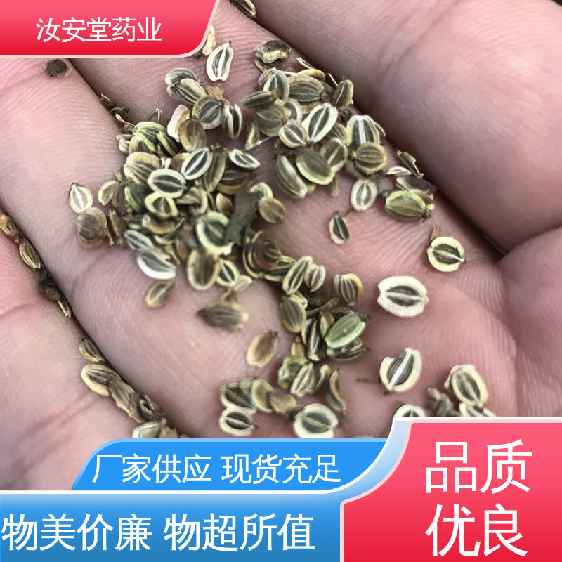 白花前胡种子量大 发芽率好 量小可快递 提供技术指导 汝安堂