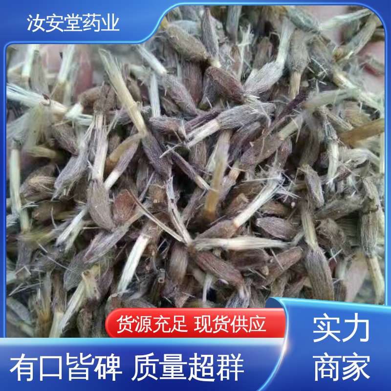 品种多样 进行科学种植 批发改良白术种子 可大面积栽种 汝安堂