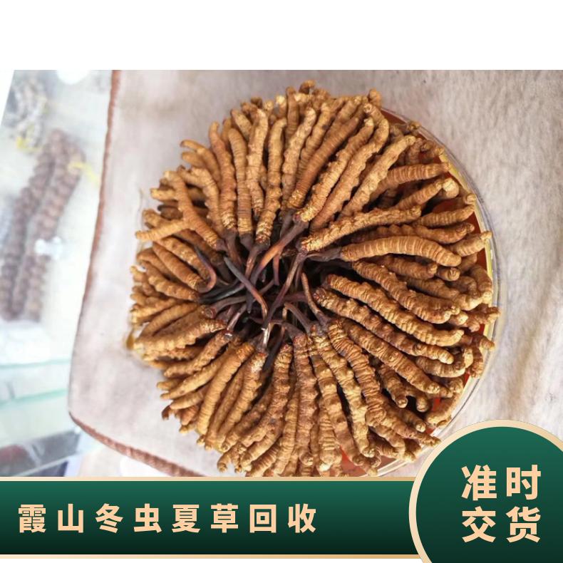 霞山冬虫夏草回收价格 24小时上门回收冬虫夏草燕窝茅台酒洋酒