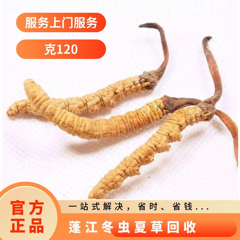 蓬江冬虫夏草回收 上门回收冬虫夏草燕窝海参鱼胶茅台酒洋酒红酒