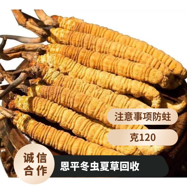 恩平冬虫夏草回收价格行情 长期回收冬虫夏草燕窝海参茅台酒洋酒