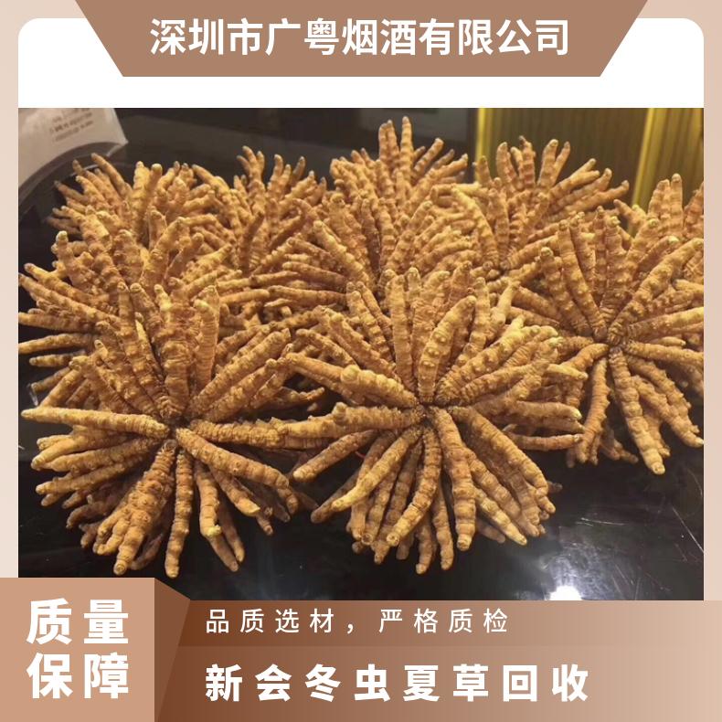 新会冬虫夏草回收价格 上门回收冬虫夏草燕窝茅台酒洋酒红酒