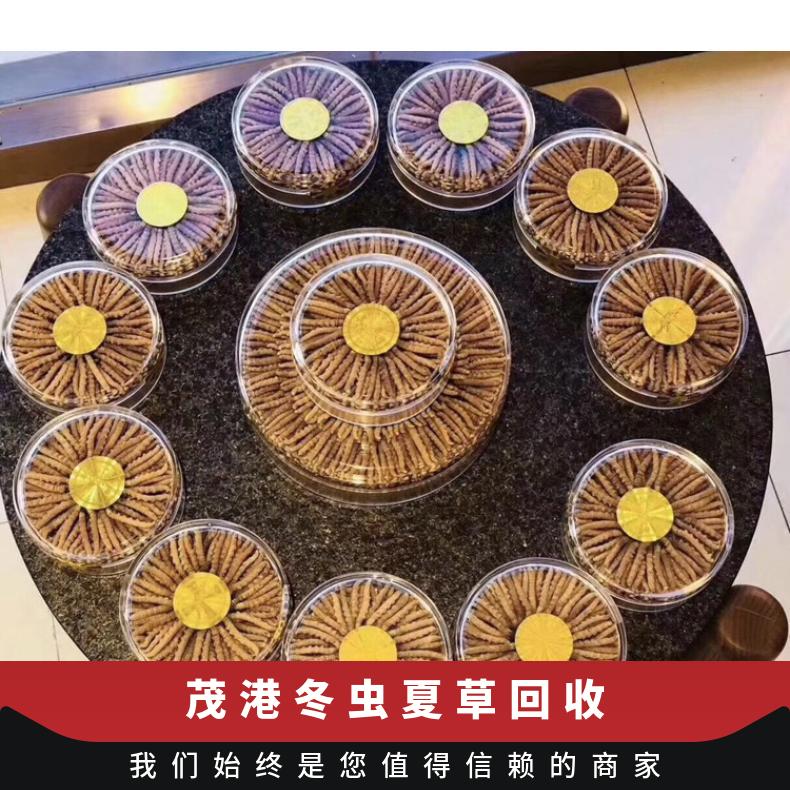 茂港冬虫夏草回收价格行情 长期回收虫草燕窝海参茅台酒洋酒