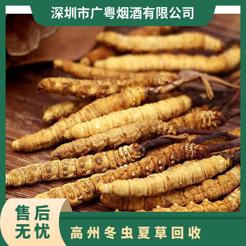 高 州冬虫夏草回收上门 高级爱收购礼盒装虫草 点礼成金