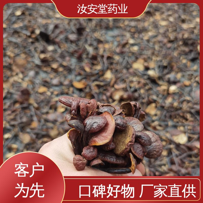 汝安堂 中药材玄参 桂枝 酸枣仁 枇杷叶批发 提供种植技术 阴凉处储存