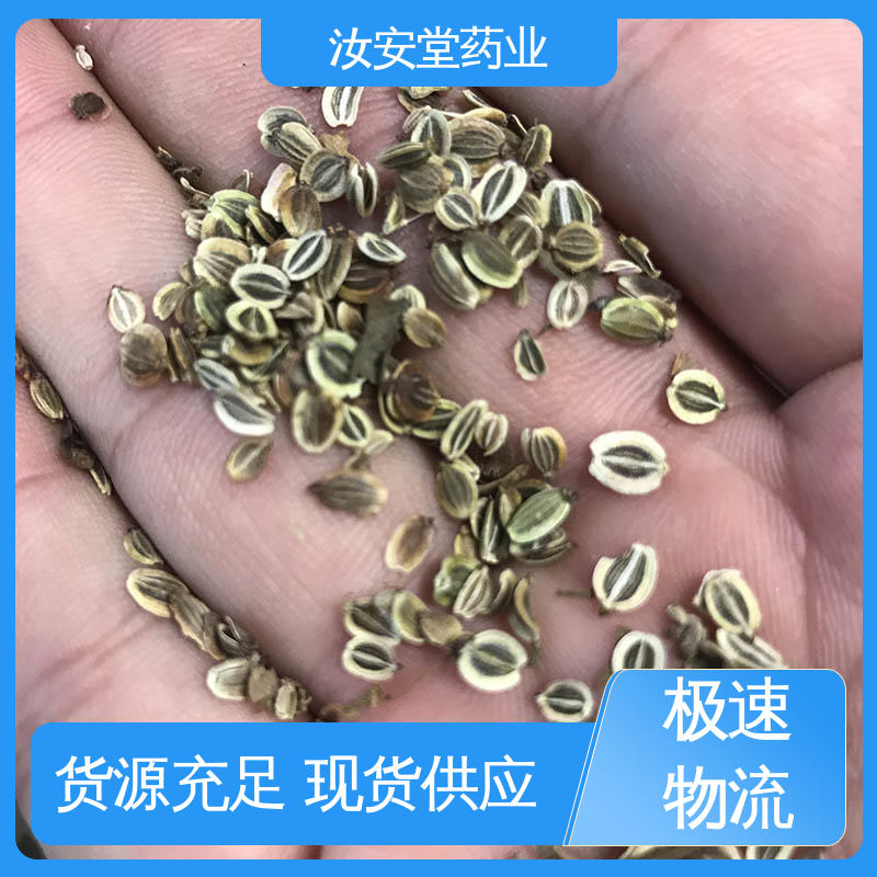 白花前胡种子质优 用于家庭园艺 晾干贮存 可大面积栽种 汝安堂