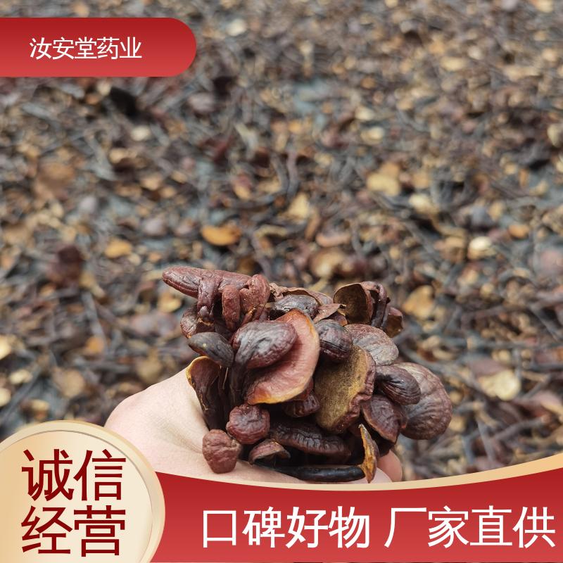 汝安堂 中药材补骨脂 淫羊藿 紫苏子批发商 提供种植技术 阴凉处储存