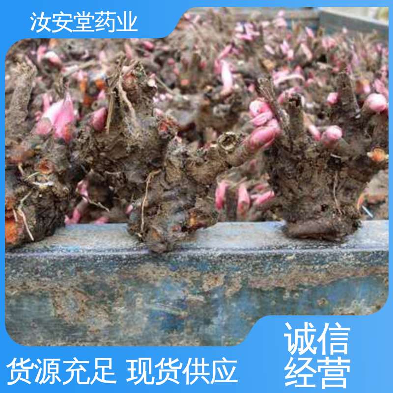 量小可发快递 白芍芽头供应 适用于疏松肥沃沙质土壤 汝安堂