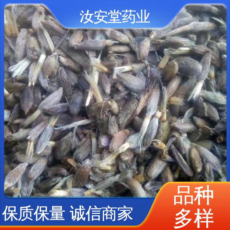 宜晾干贮存 抗旱能力好 支持配送上门 白术种子基地 汝安堂