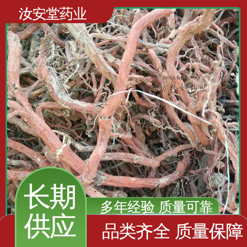 支持快递发货 栽培技术优良 包成活率 丹参苗种苗 汝安堂