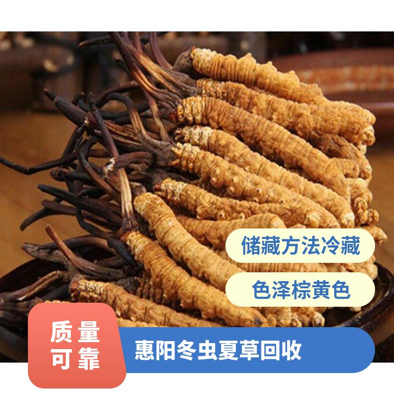 惠阳冬虫夏草回收行情 上门回收冬虫夏草礼盒装散装