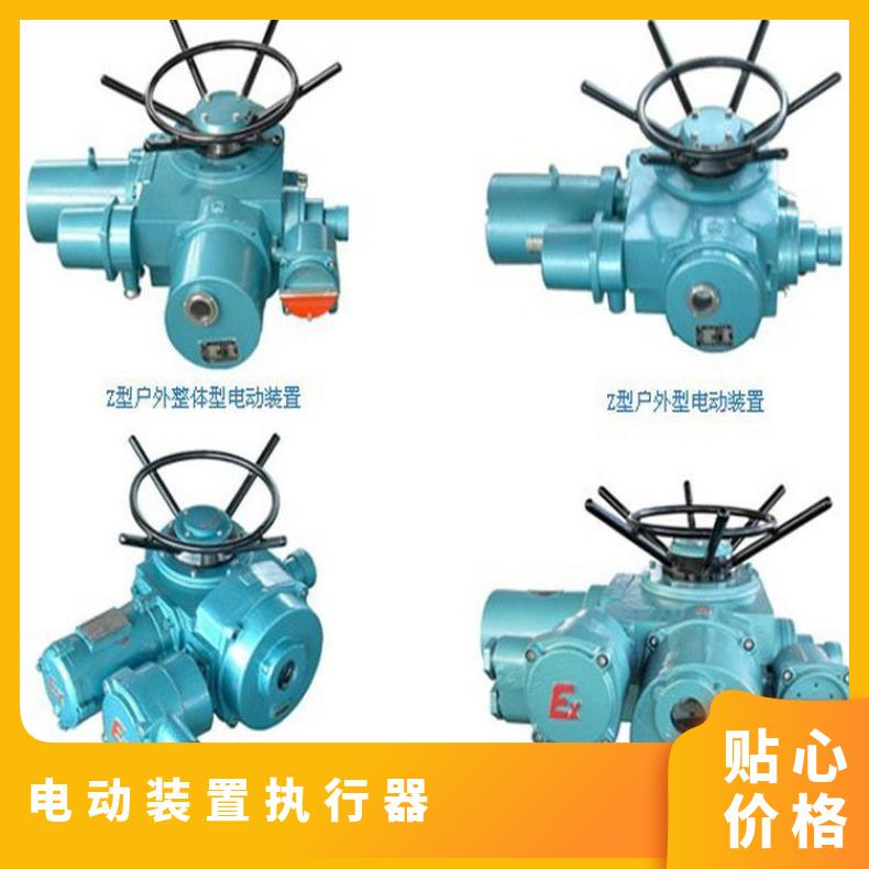 DZW电动装置ZBDQW执行器 法兰 其他博尔 -20℃~60
