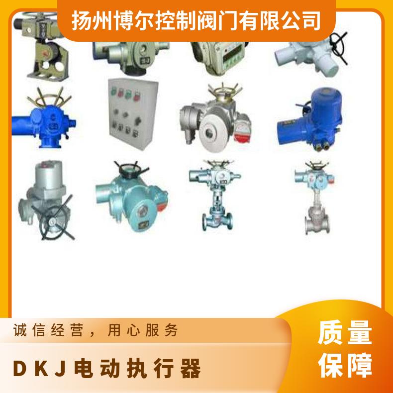 BOER电动执行器 DKJDKZLQQT802型 其他博尔 ZB/QBDZBDQB