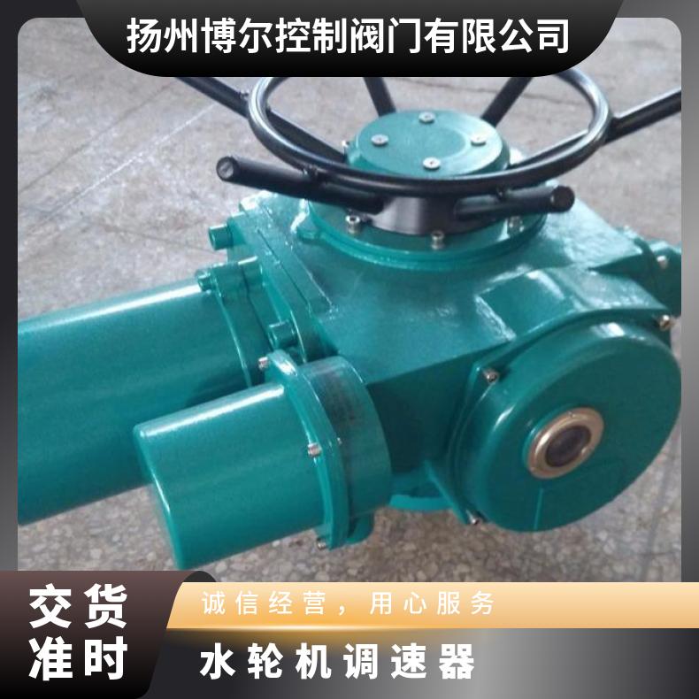 SDZ18025035050水轮机调速器 其他博尔 电动 ZB/QBDZBDQB